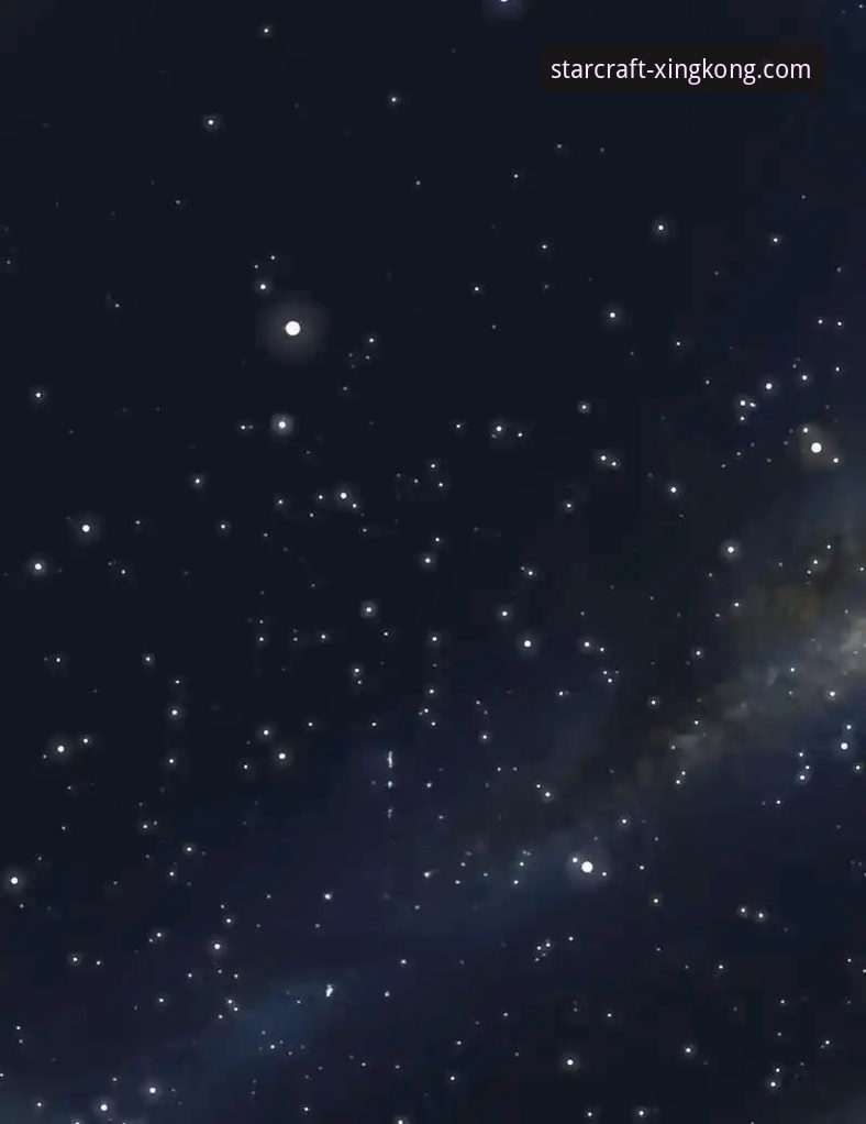 星空体育电脑客户端必备：从下载到精通的全方位使用指南